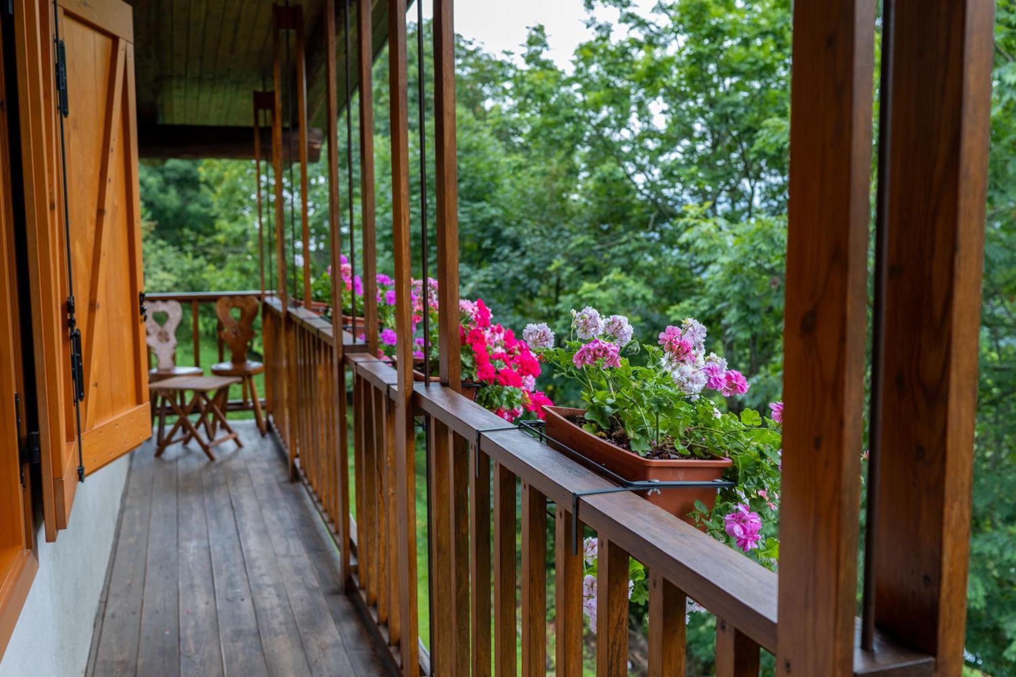 la finestra sul Monviso Apartment Crissolo Exterior foto